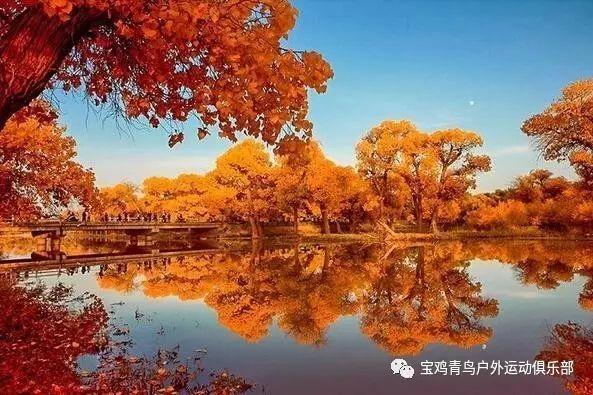 习水：畜禽粪污资源化利用 “生态包袱”变“绿色财富”